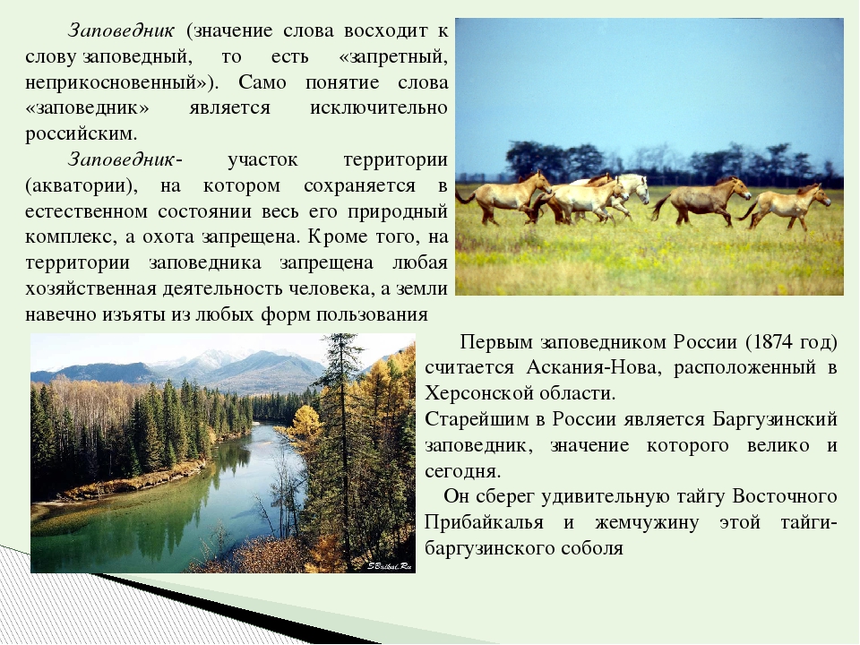 Заповедники и парки россии