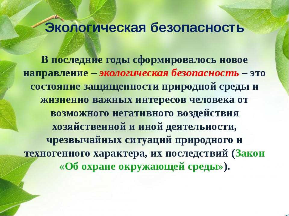 Презентация на тему экологическая безопасность 3 класс окружающий мир