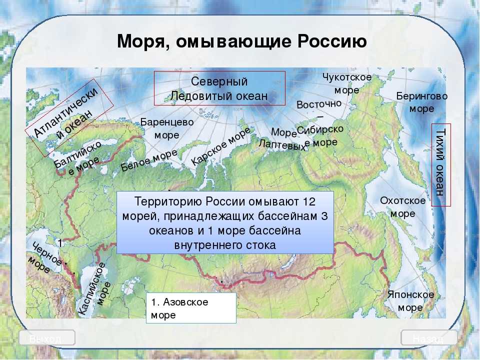 Все моря. Моря омывающие Россию. Моря и океаны омывающие Россию на карте. Моря омывающииероссию. Моря омывающие Россию на карте.