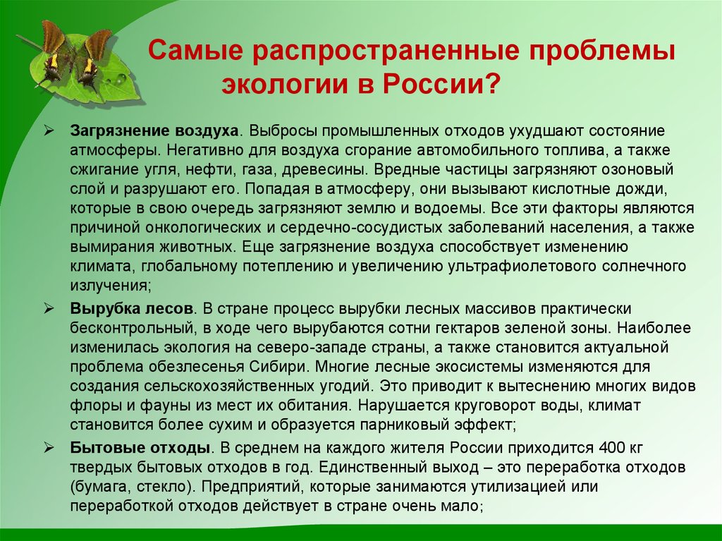 Индивидуальный проект на тему экологические проблемы