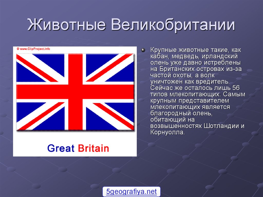 Рассказать о англии. Великобритания презентация. Презентация по Великобритании. Животный мир Великобритании презентация. Интересный рассказ о Великобритании.