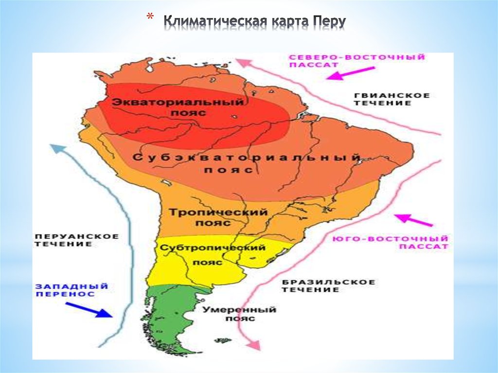 Природные зоны венесуэлы и их особенности