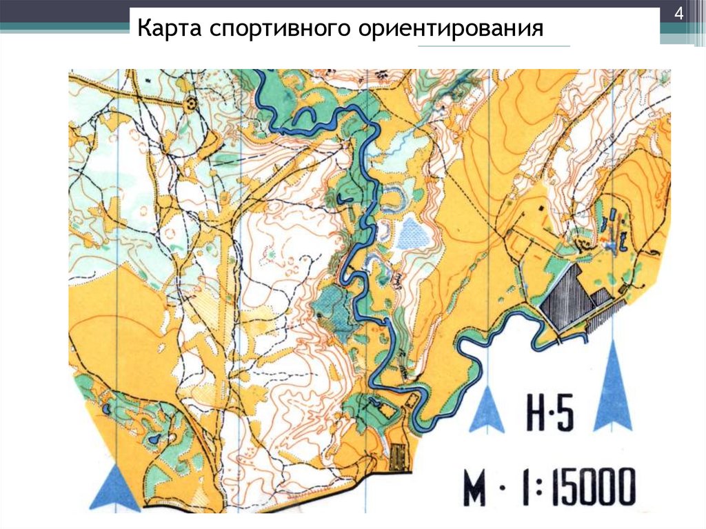 Карта по спортивному ориентированию на местности