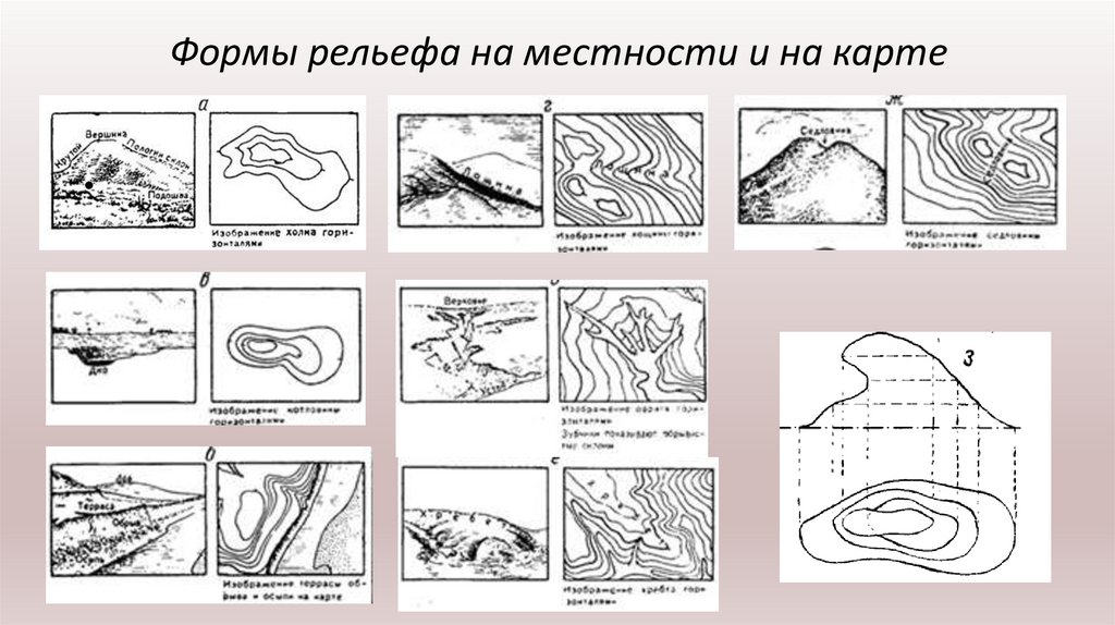 Топографическая карта реферат