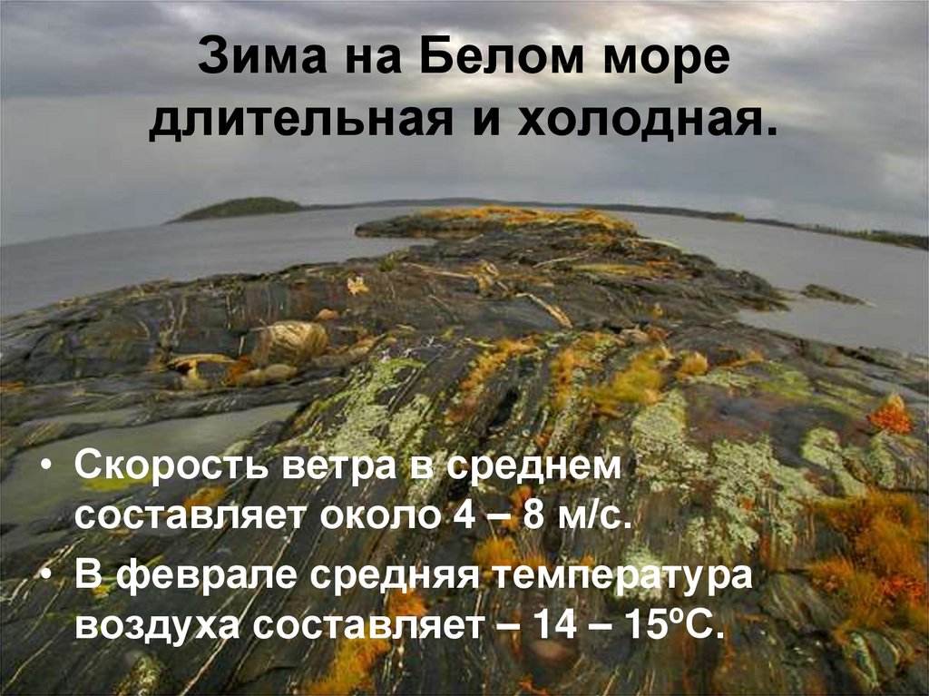 Белое море характеристика. Сообщение о белом море. Белое море презентация. Белое море доклад. Проект белое море.