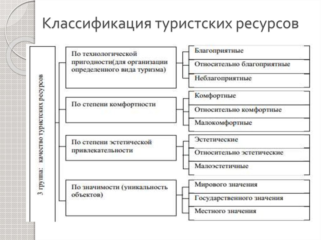 Классификация видов туризма