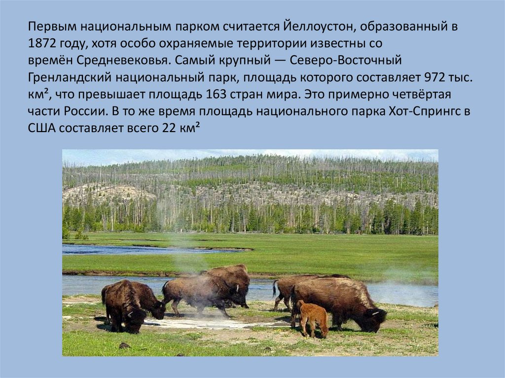 Первый национальный парк на территории россии. Национальные парки это определение. Первым национальным парком считается Йеллоустон. Национальный парк России самый известный.