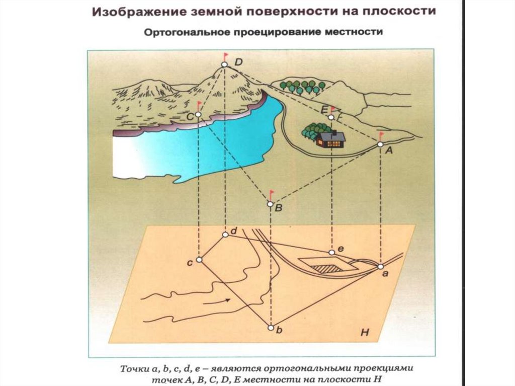 Плоскость земной поверхности. Геодезическая основа карт. Виды топографических съемок местности. Изображение земной поверхности на плоскости геодезия. Понятие о плане и карте в геодезии.