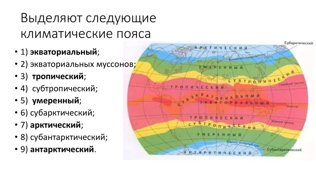 Изучите рисунок изменения растительности от экватора к полюсам рисунок 172