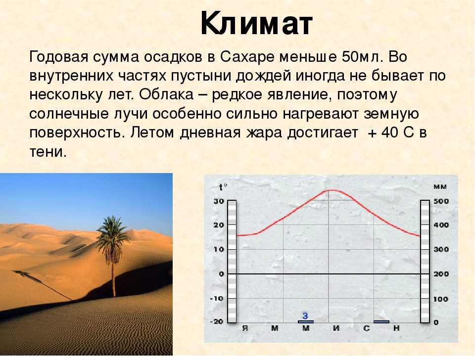 Максимальная температура воздуха австралия. Климат Сахары. Пустыня сахара осадки. Климатограмма пустыни и полупустыни. Климатическая диаграмма Сахары.