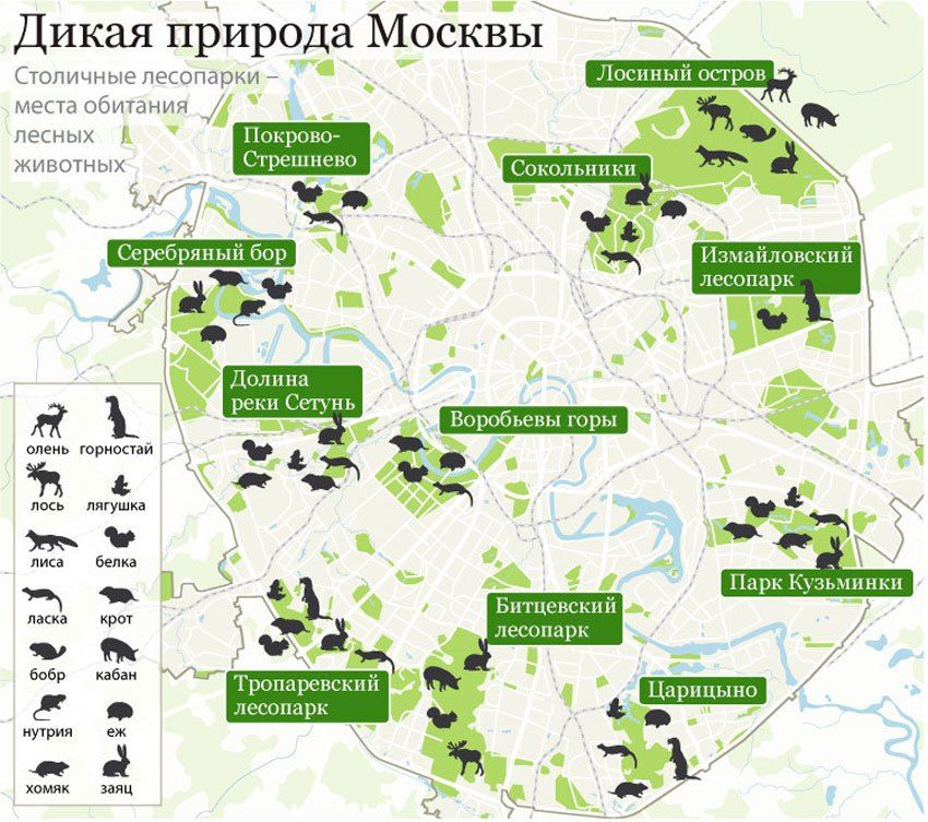 Карта обитания животных в россии