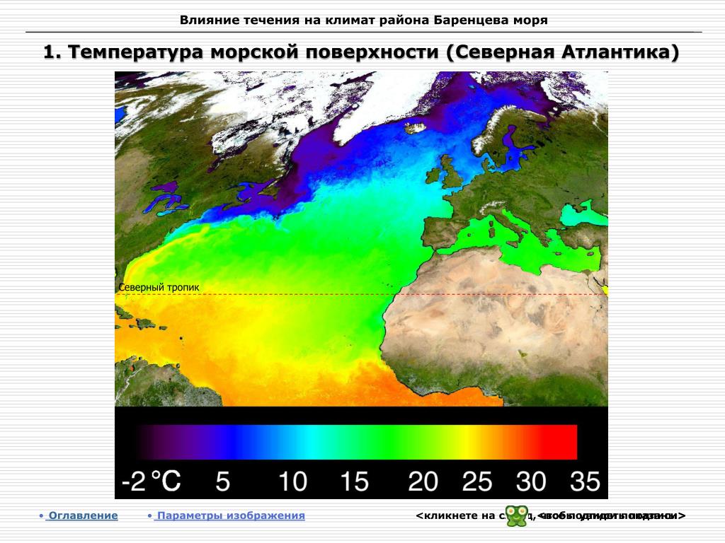 Температура моря. Баренцево море климатический пояс. Климат Баренцева моря. Температура поверхности Баренцева моря. Климатические условия Баренцева моря.