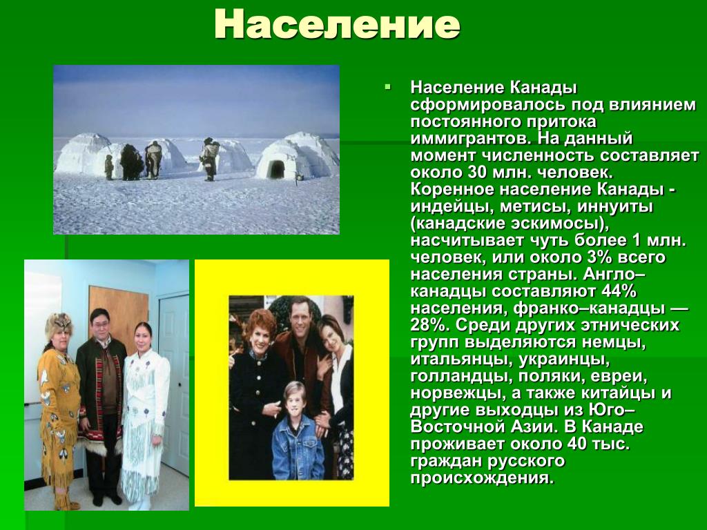 Населения м. Население Канады презентация. Характеристика населения Канады. Население Канады кратко. Численность населения Канады.