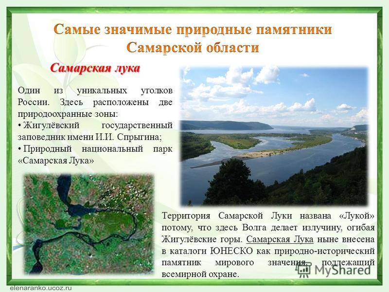 Самарская лука презентация