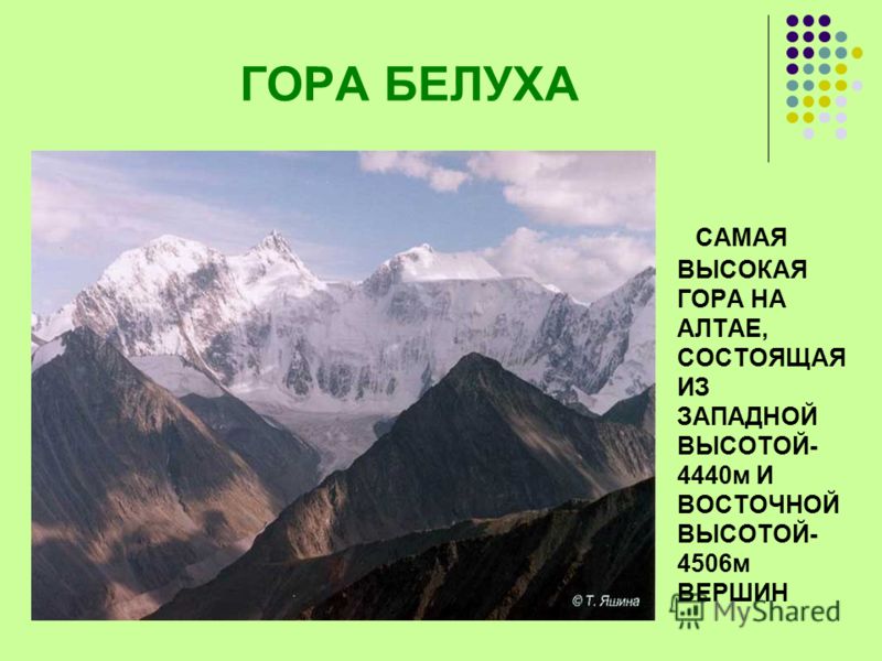 Абсолютная высота алтайских гор. Алтай гора Белуха на карте России. Гора Белуха на карте. Золотые горы Алтая расположение. Гора Белуха местоположение.