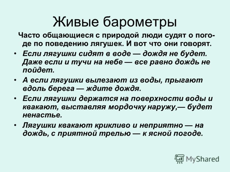 Почему общение с природой важно для человека