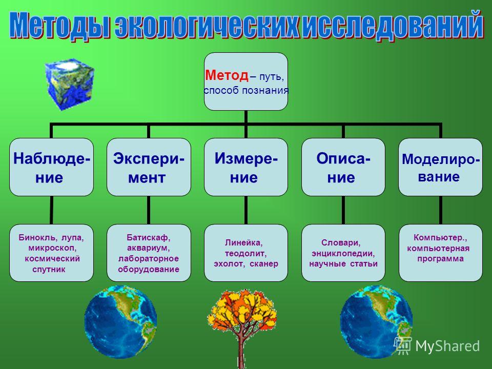 Экология проект 9 класс