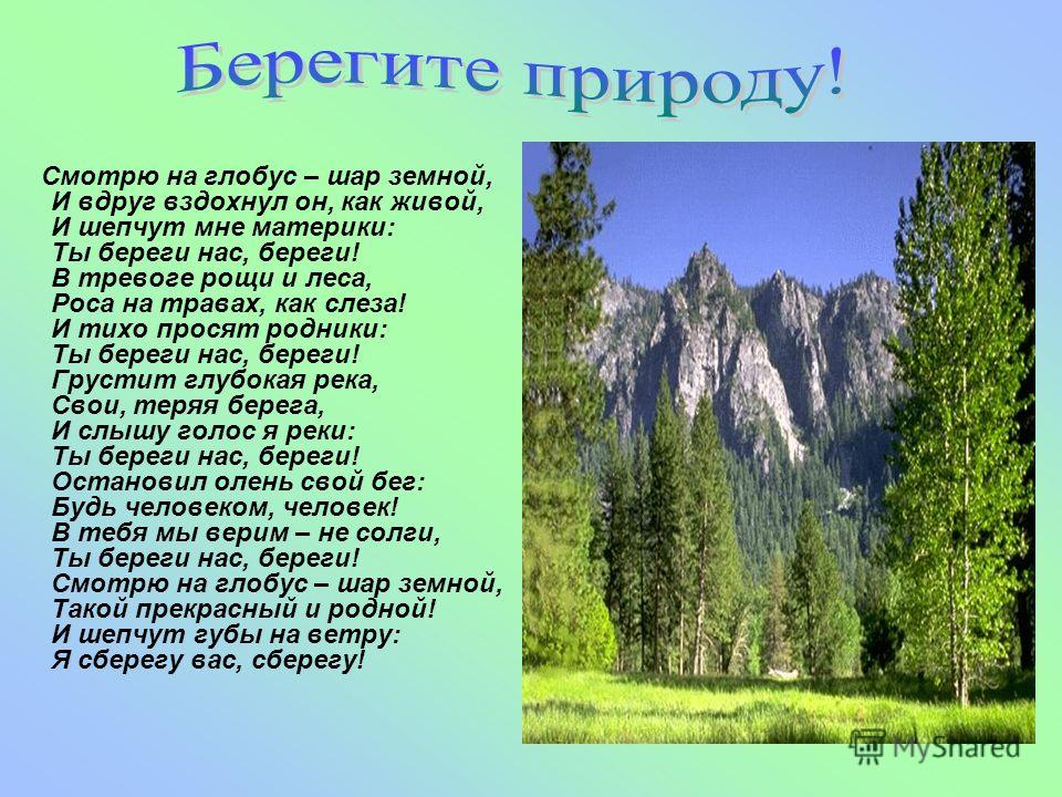 Краткий проект на тему берегите природу