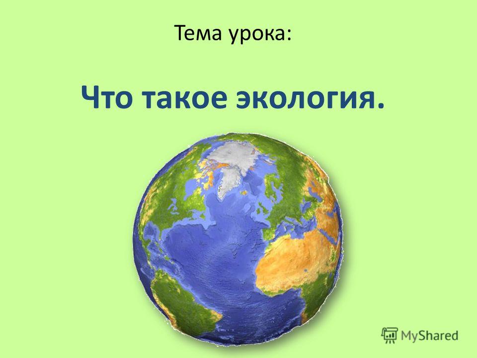 Что такое экология 3 класс окружающий мир презентация школа россии