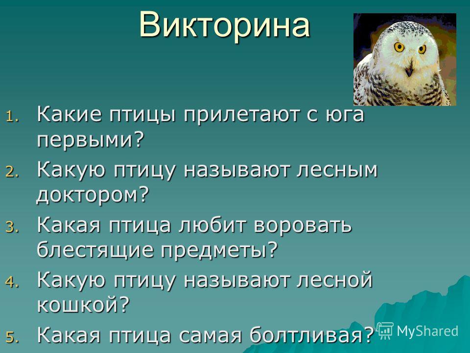 Викторина для 3 класса по окружающему миру с ответами презентация