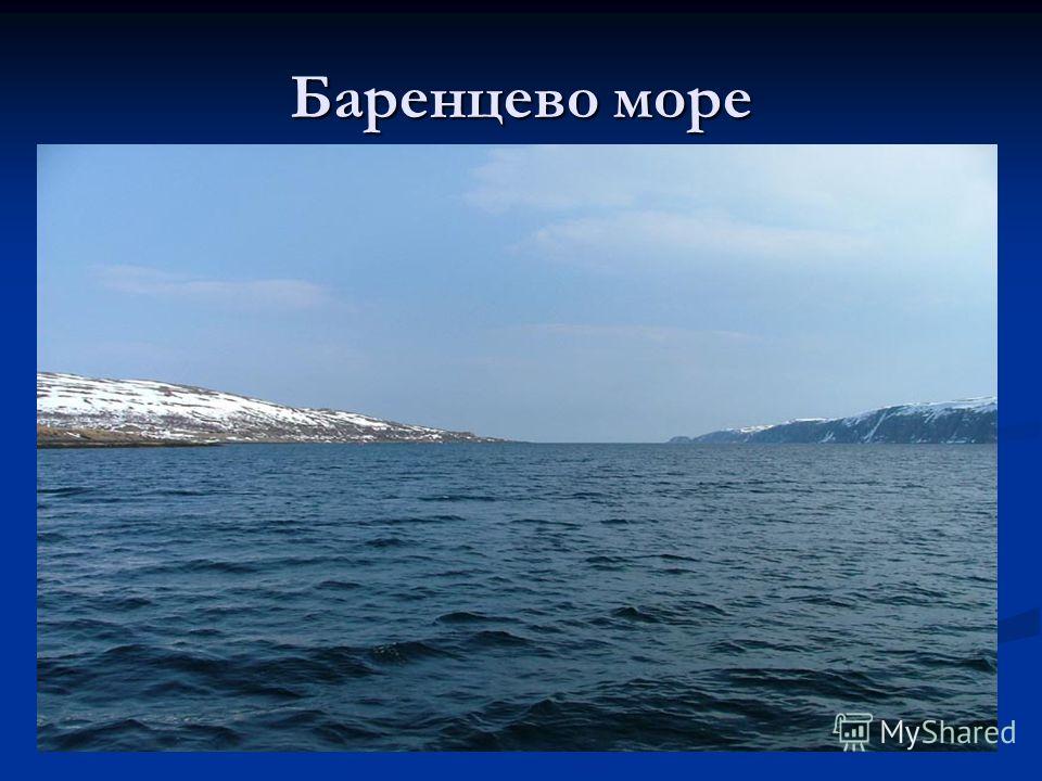 Презентация море баренцево море