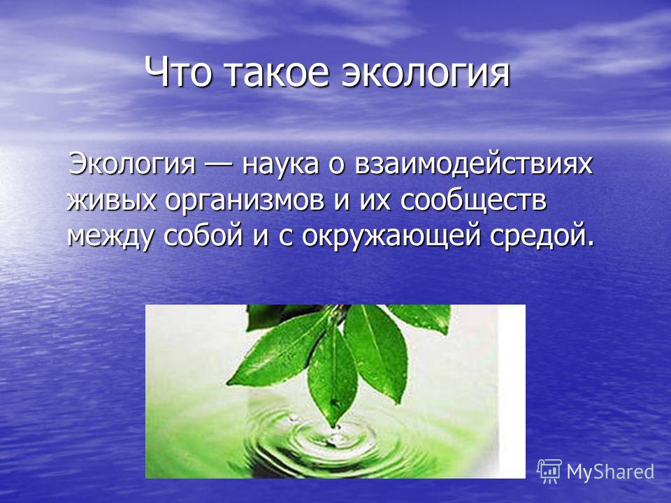 Что изучает наука экология. Презентация на тему экология. Тема для презентации по экологии. Презентация на тему экология окружающей среды. Что такое экология кратко.