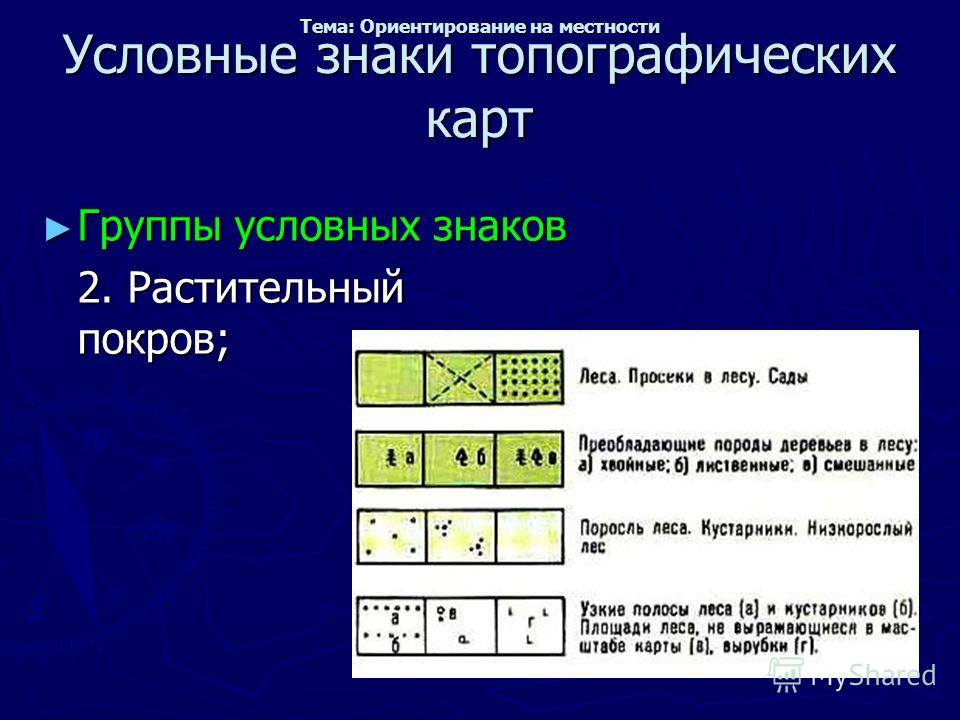 Масштабы условные обозначения