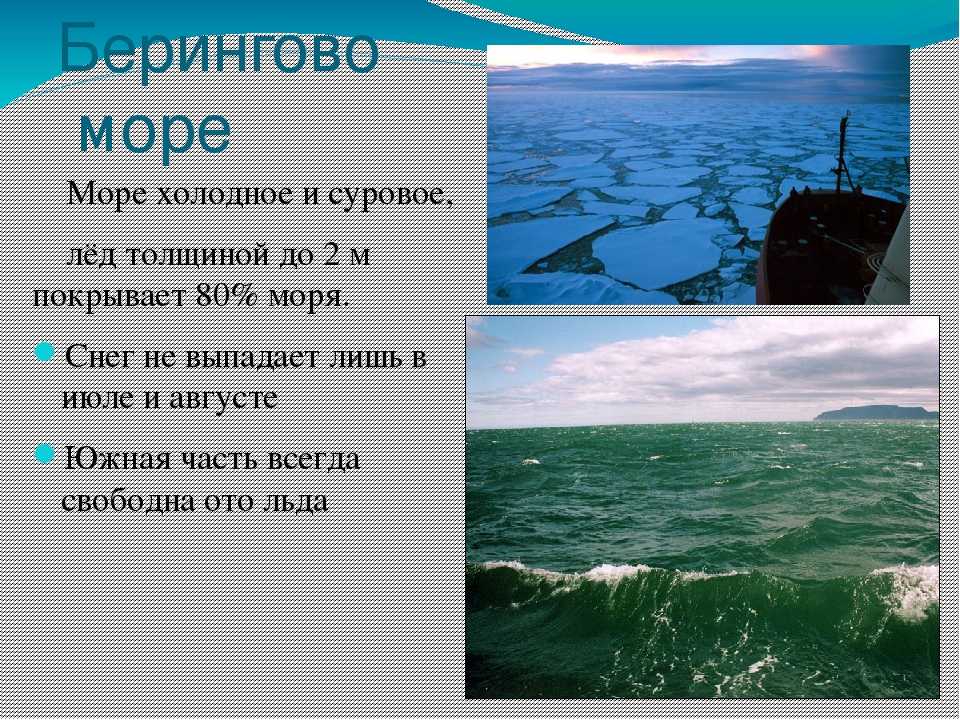 Опишите по плану баренцево море