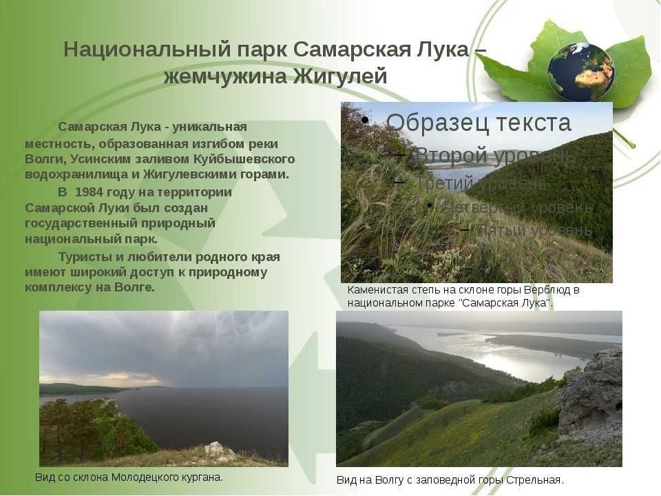 Самарская лука презентация