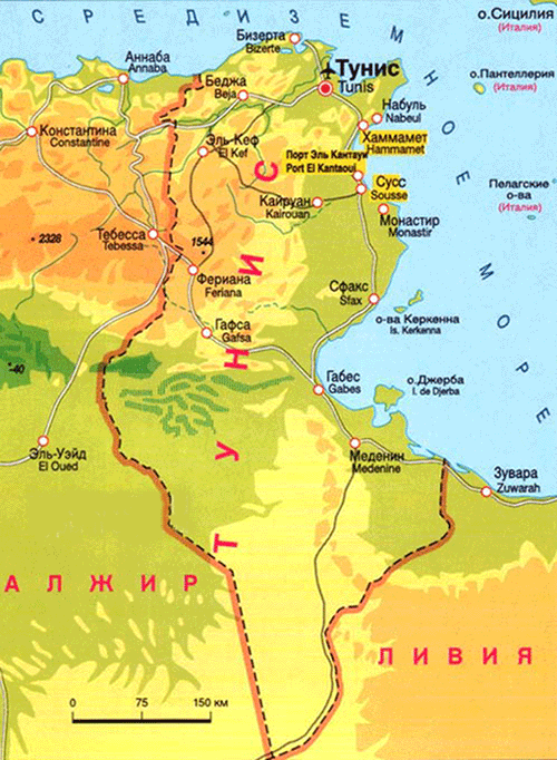 Тунис какое море. Физическая карта Туниса. Географическая карта Африки Тунис. Тунис политическая карта. Тунис на карте Африки.