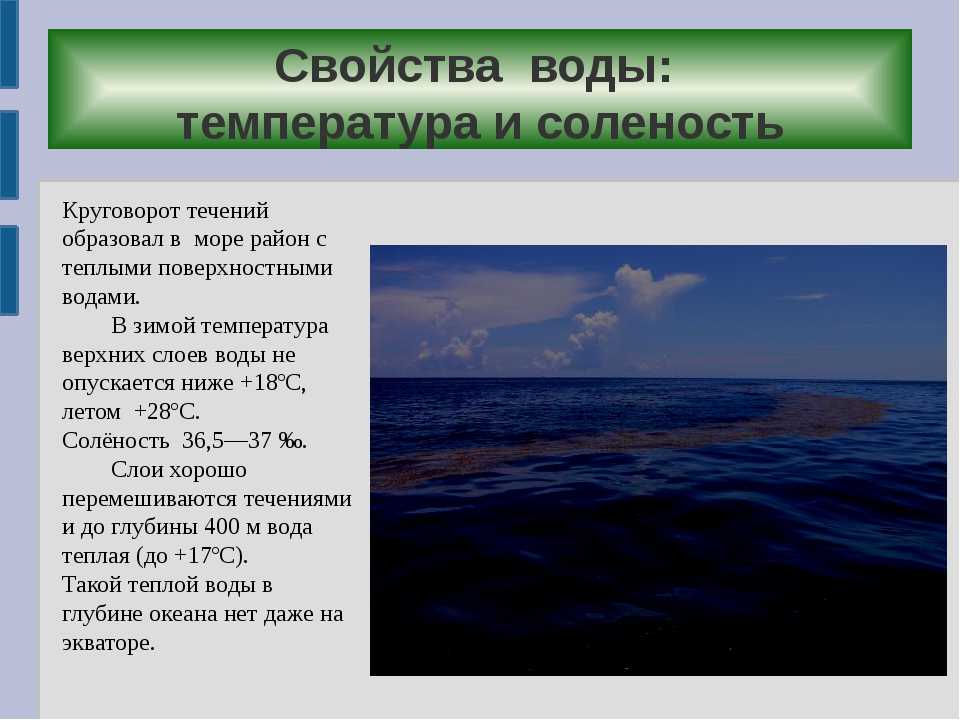Какая температура в черном море. Соленость моря Охотского моря. Охотское море глубина температура соленость. Соленость и температура Охотского моря. Наибольшая глубина Охотского моря.