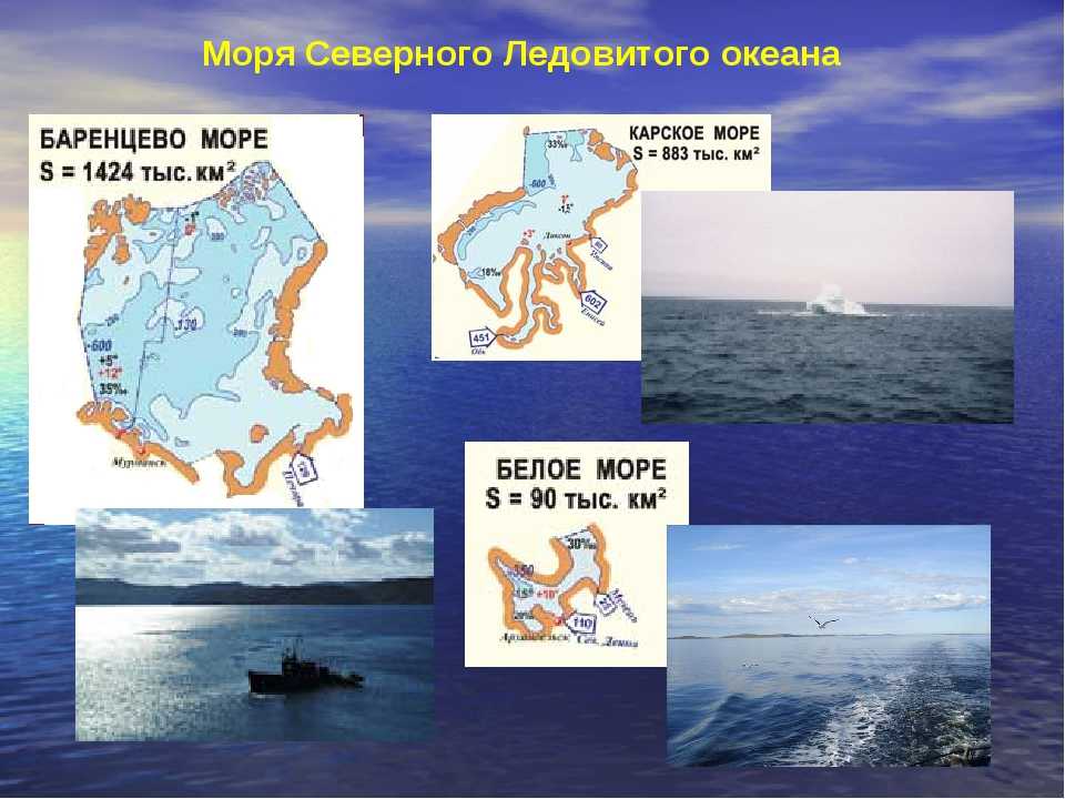 Презентация море баренцево море