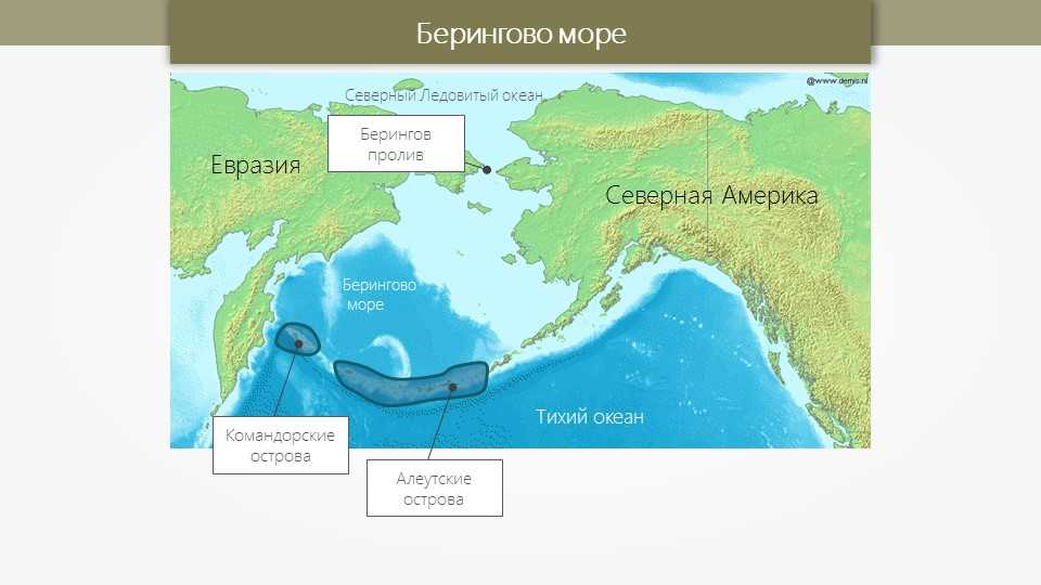 Берингов пролив на карте евразии. Берингово море и Берингов пролив на карте. Берингов пролив на карте Северной Америки. Берингов пролив на контурной карте Северной Америки. Берингово море, Берингов пролив и остров Беринга.
