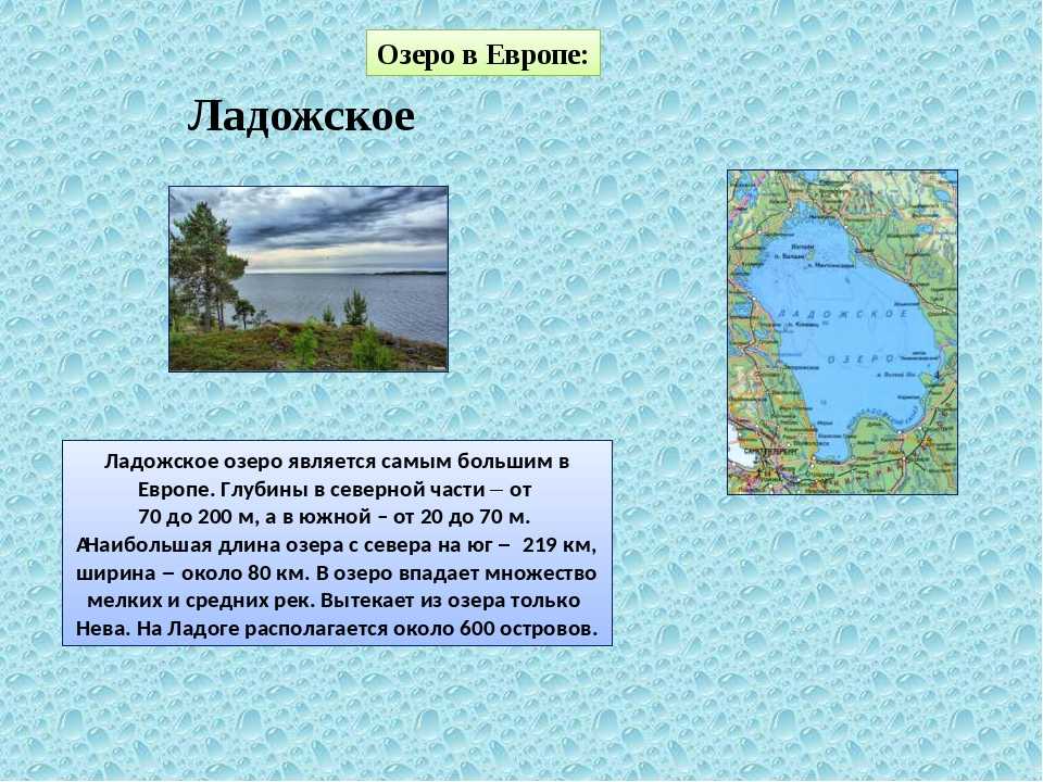 Какое озеро в европе является самым крупным. Исток Ладожского озера 4 класс. Рассказ проект про Ладожское озеро. Ладожское озеро доклад. Ладожское озеро краткое описание.