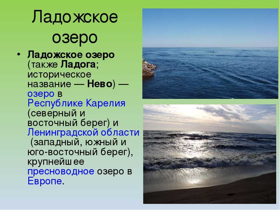 Описание озера по плану 6. Презентация на тему озеро Ладожское. Сведения о Ладожском озере. Ладожское озеро информация. Сообщение про Ладожское.