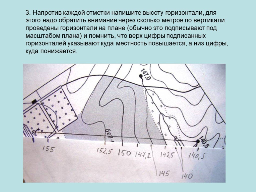 Абсолютная высота на топографической карте. Горизонтали на плане местности. Построение плана местности в горизонталях. Профиль плана местности. Построение горизонталей по отметкам.