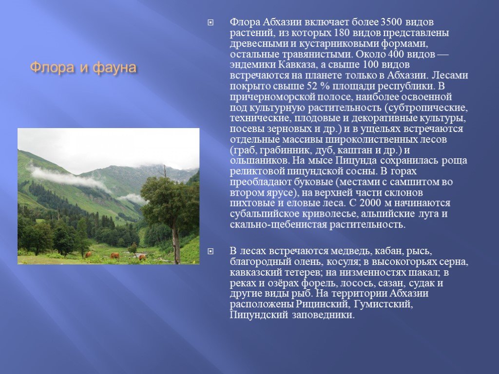 Интересные факты об абхазии. Абхазия доклад 3 класс. Сообщение про Абхазию. Абхазия проект. Абхазия презентация.