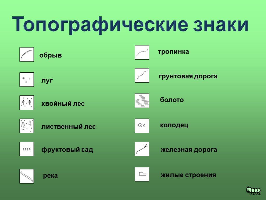 Условный это какой. Топографические знаки шоссе смешанного леса и Луга. Топографические обозначения лес. Топографические хз Наки. Условные топографияеские знак.