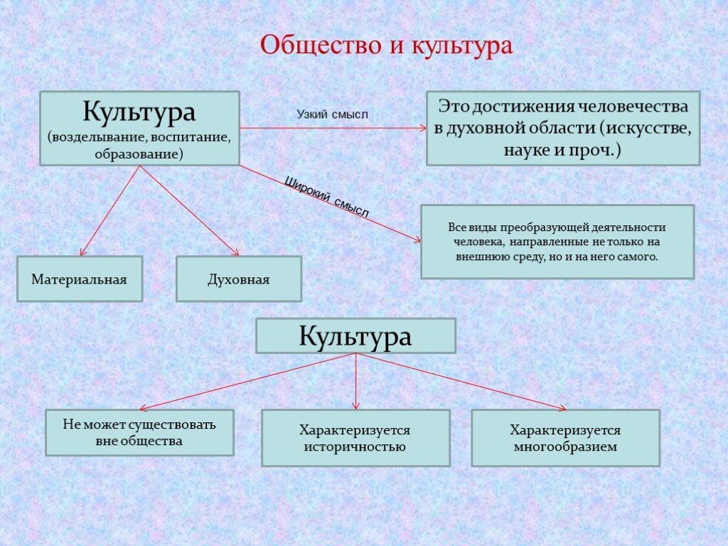 Что такое культура схема