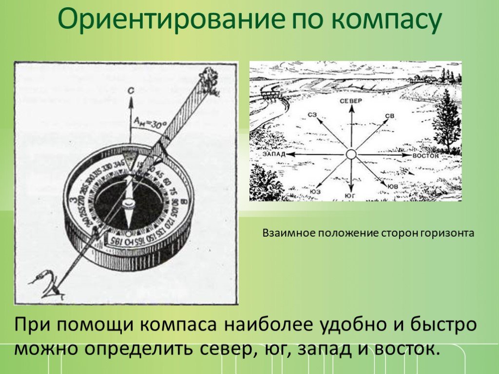 Карта с ориентиром по сторонам света