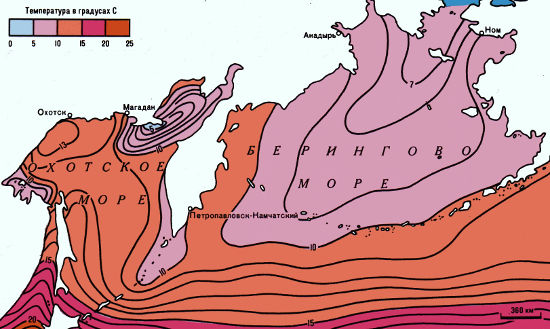 Охотское море соленость воды. Рельеф дна Берингова моря. Берингово море климат. Климатическая карта Берингова моря. Соленость Берингова моря.