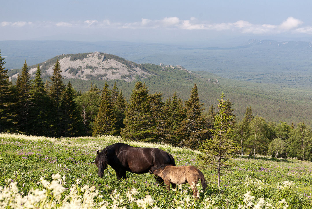 Гора иремель башкирия фото