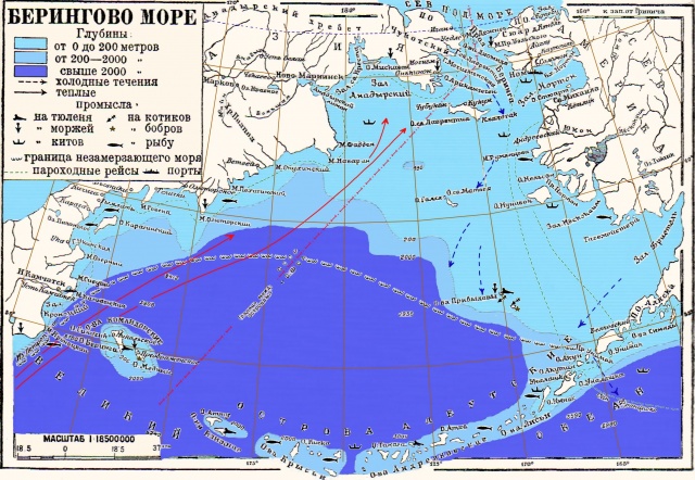 Ледовая карта берингова моря на сегодня японская