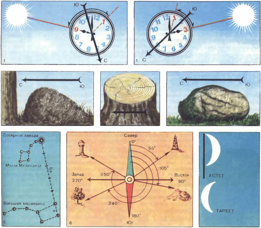 Дополните схему об основных способах определения сторон света на местности