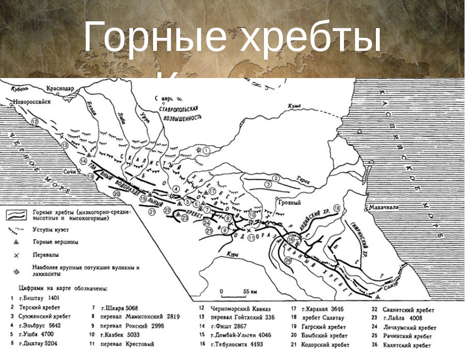 Местоположение горных систем кавказа и алтая