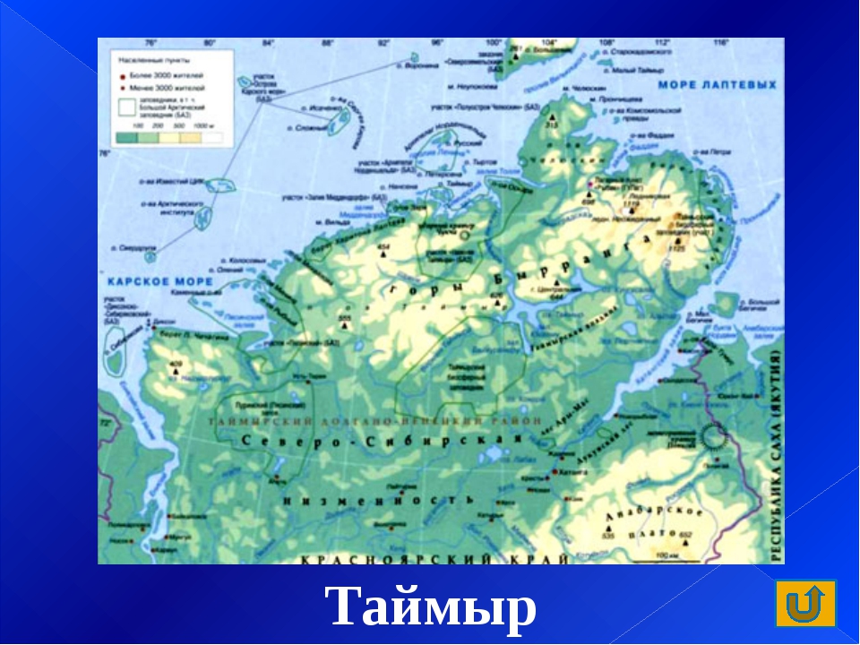 Какая крайняя точка расположена на полуострове таймыр. Полуостров Таймыр на карте. Полуостров Таймыр расположение на карте. Карта полуострова Таймыр подробная. Карта России Таймыр полуостров на карте.