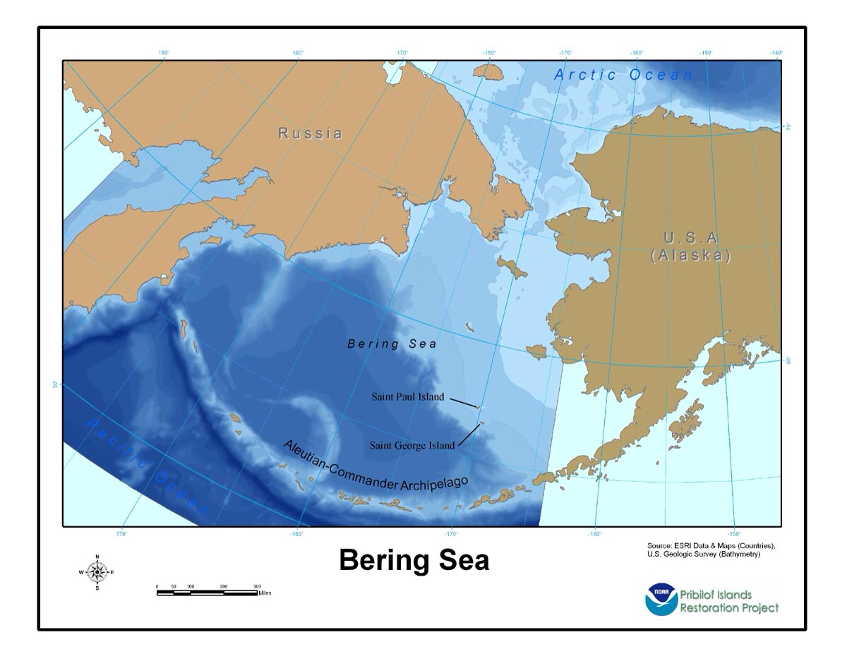 Максимальная глубина берингово. Берингов пролив и Берингово море. Берингово море на карте. Карта Берингово море Аляска. Берингово море море на карте России.